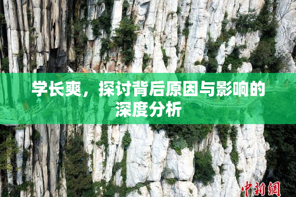 学长爽，探讨背后原因与影响的深度分析
