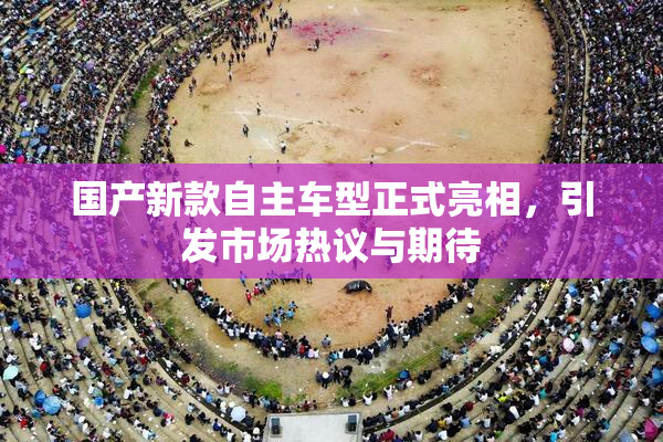 国产新款自主车型正式亮相，引发市场热议与期待