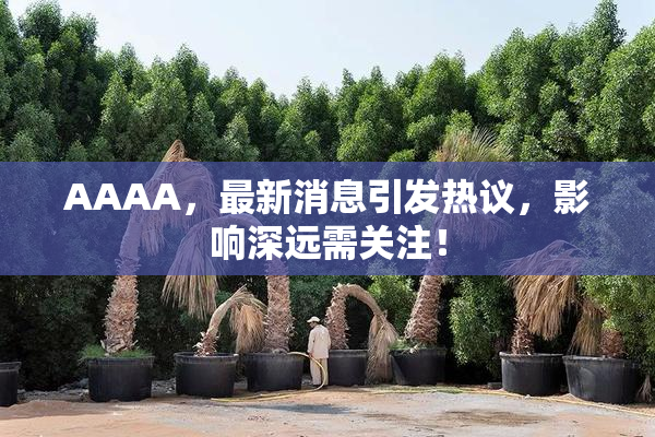 AAAA，最新消息引发热议，影响深远需关注！