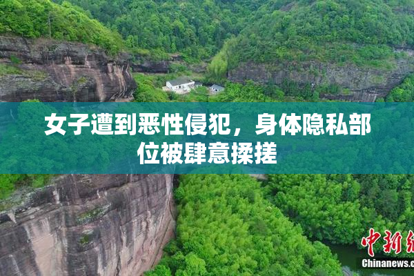 女子遭到恶性侵犯，身体隐私部位被肆意揉搓