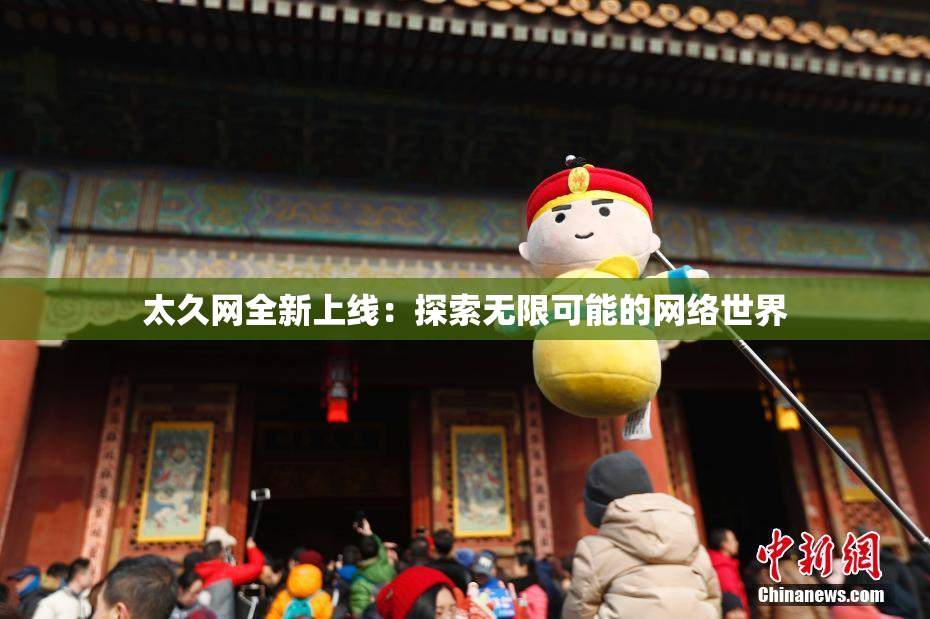 太久网全新上线：探索无限可能的网络世界