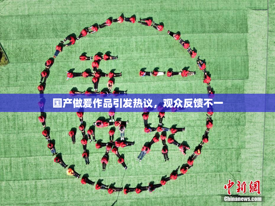 国产做爰作品引发热议，观众反馈不一
