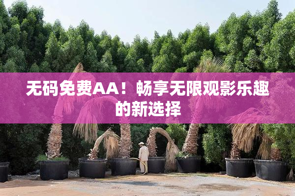 无码免费AA！畅享无限观影乐趣的新选择