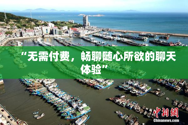 “无需付费，畅聊随心所欲的聊天体验”