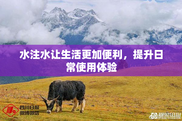水注水让生活更加便利，提升日常使用体验