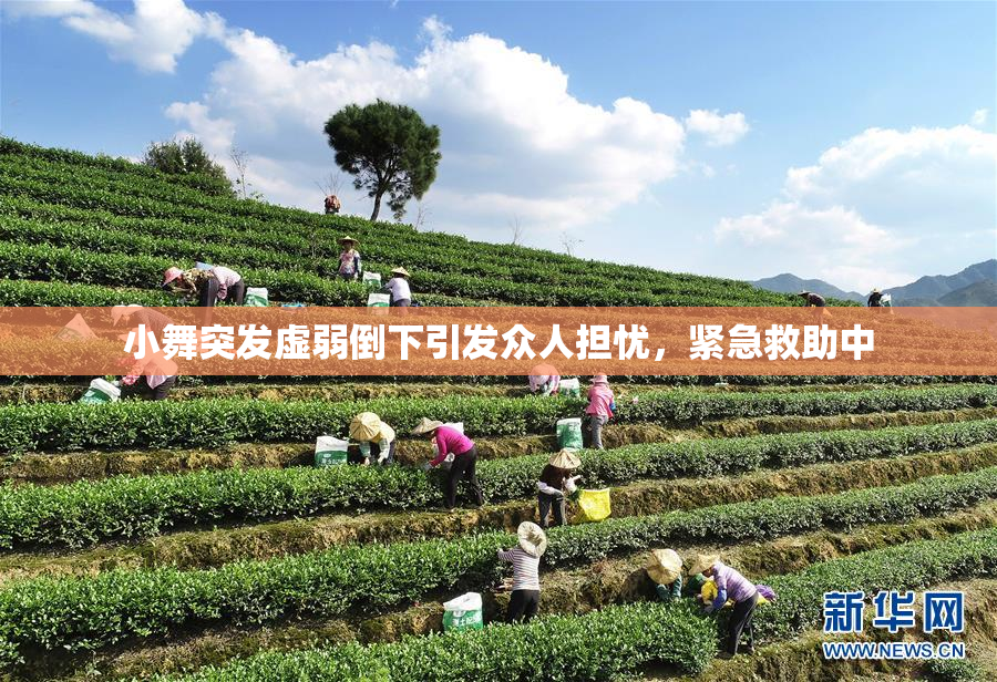小舞突发虚弱倒下引发众人担忧，紧急救助中