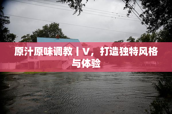 原汁原味调教丨V，打造独特风格与体验
