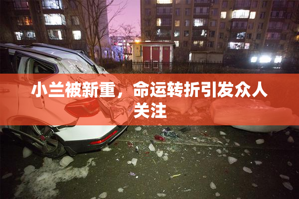 小兰被新重，命运转折引发众人关注