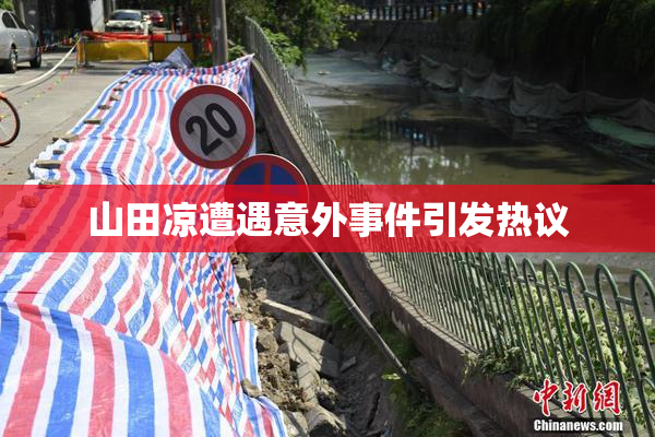 山田凉遭遇意外事件引发热议