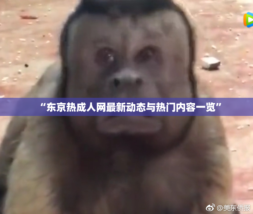 “东京热成人网最新动态与热门内容一览”