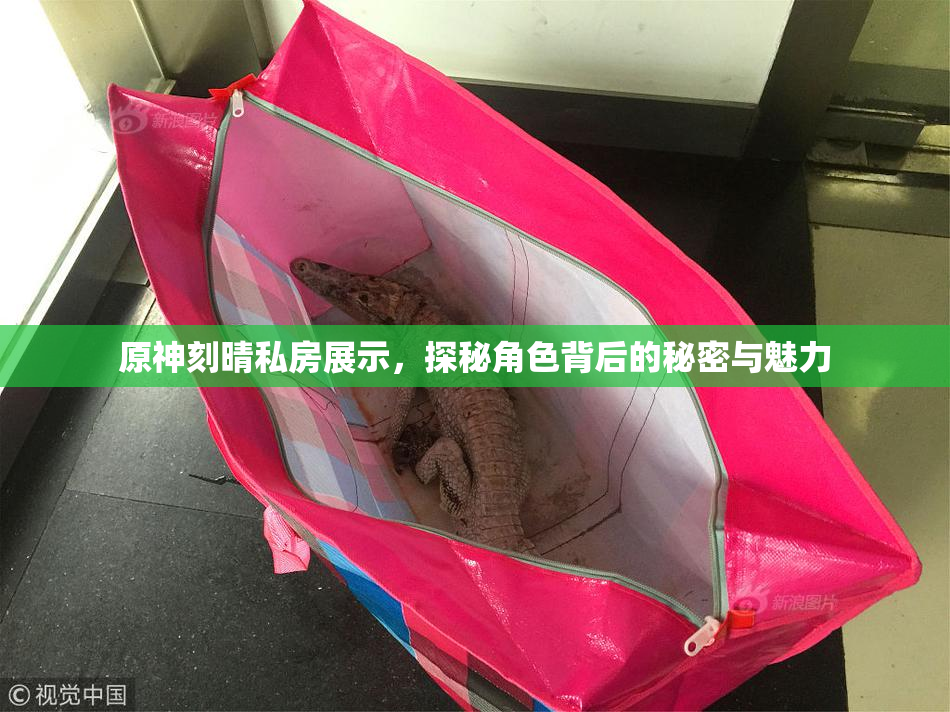 原神刻晴私房展示，探秘角色背后的秘密与魅力