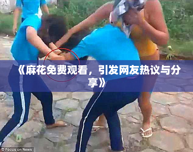 《麻花免费观看，引发网友热议与分享》