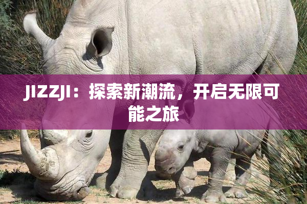 JIZZJI：探索新潮流，开启无限可能之旅