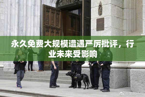 永久免费大规模遭遇严厉批评，行业未来受影响