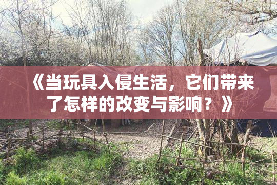 《当玩具入侵生活，它们带来了怎样的改变与影响？》