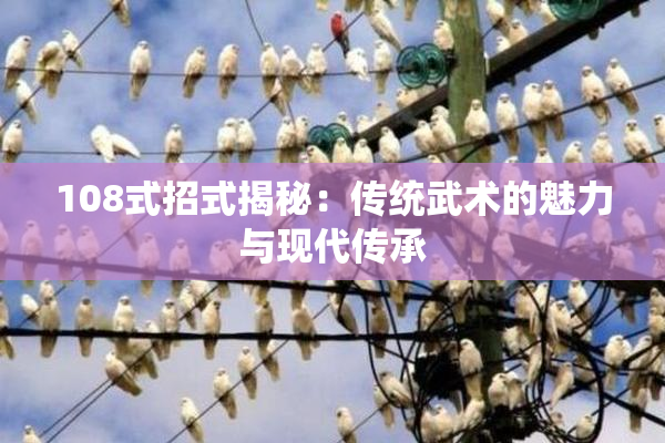 108式招式揭秘：传统武术的魅力与现代传承