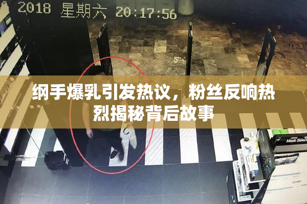 纲手爆乳引发热议，粉丝反响热烈揭秘背后故事