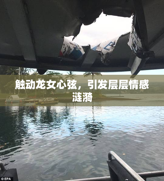 触动龙女心弦，引发层层情感涟漪