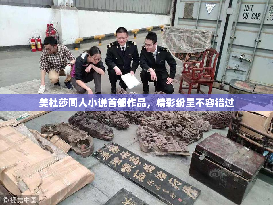 美杜莎同人小说首部作品，精彩纷呈不容错过