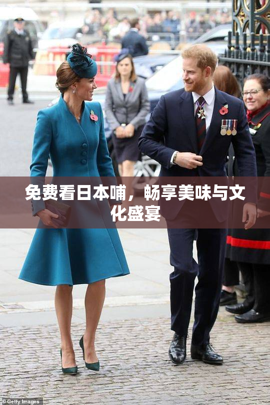 免费看日本哺，畅享美味与文化盛宴
