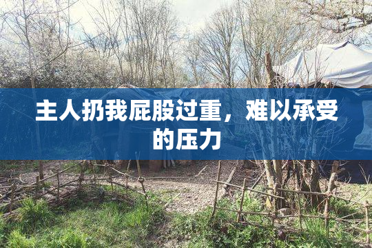 主人扔我屁股过重，难以承受的压力