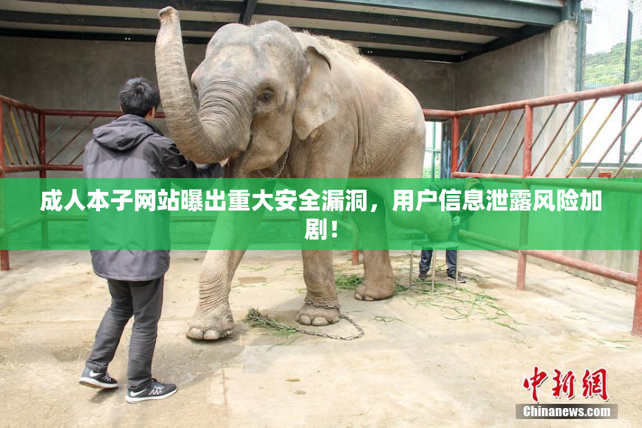 成人本子网站曝出重大安全漏洞，用户信息泄露风险加剧！