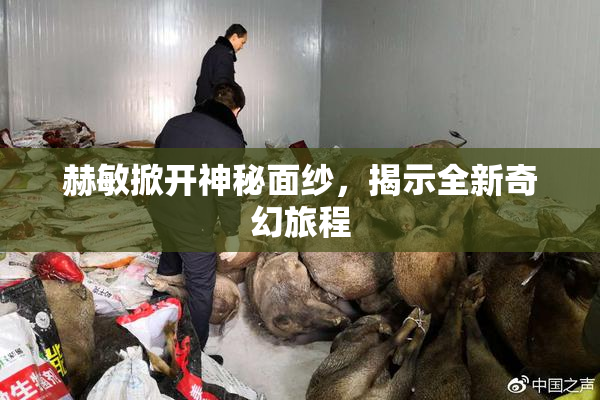 赫敏掀开神秘面纱，揭示全新奇幻旅程