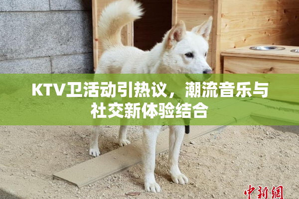 KTV卫活动引热议，潮流音乐与社交新体验结合