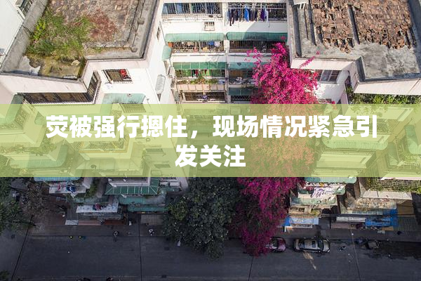 荧被强行摁住，现场情况紧急引发关注