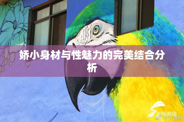 娇小身材与性魅力的完美结合分析
