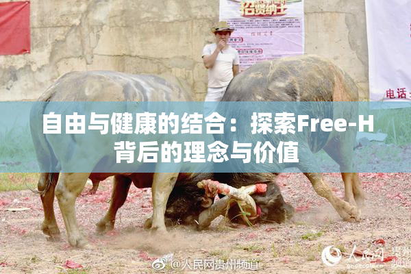 自由与健康的结合：探索Free-H背后的理念与价值