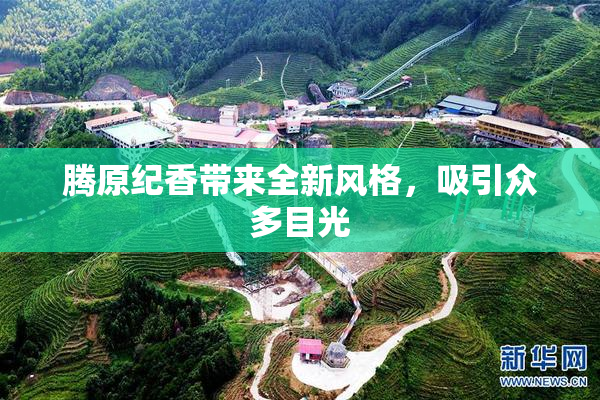 腾原纪香带来全新风格，吸引众多目光