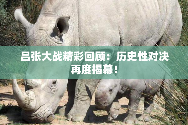 吕张大战精彩回顾：历史性对决再度揭幕！