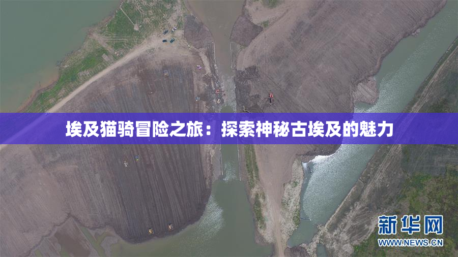 埃及猫骑冒险之旅：探索神秘古埃及的魅力