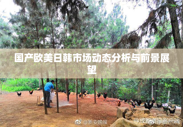 国产欧美日韩市场动态分析与前景展望