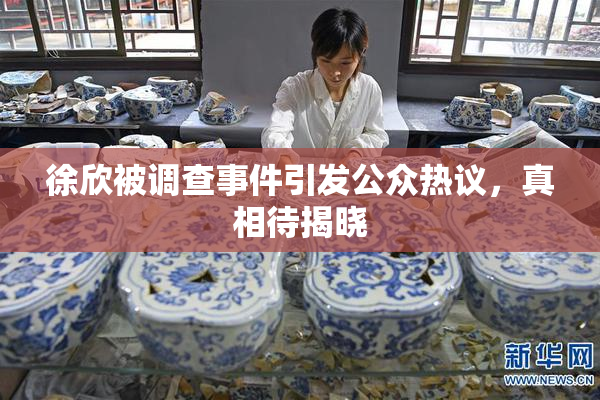 徐欣被调查事件引发公众热议，真相待揭晓