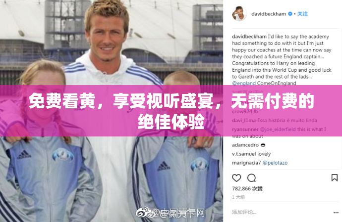 免费看黄，享受视听盛宴，无需付费的绝佳体验