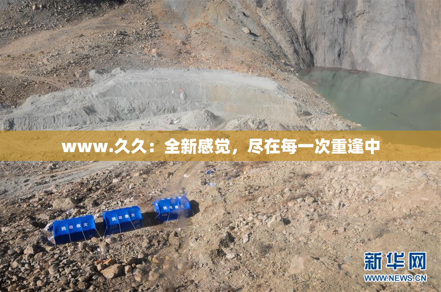 www.久久：全新感觉，尽在每一次重逢中
