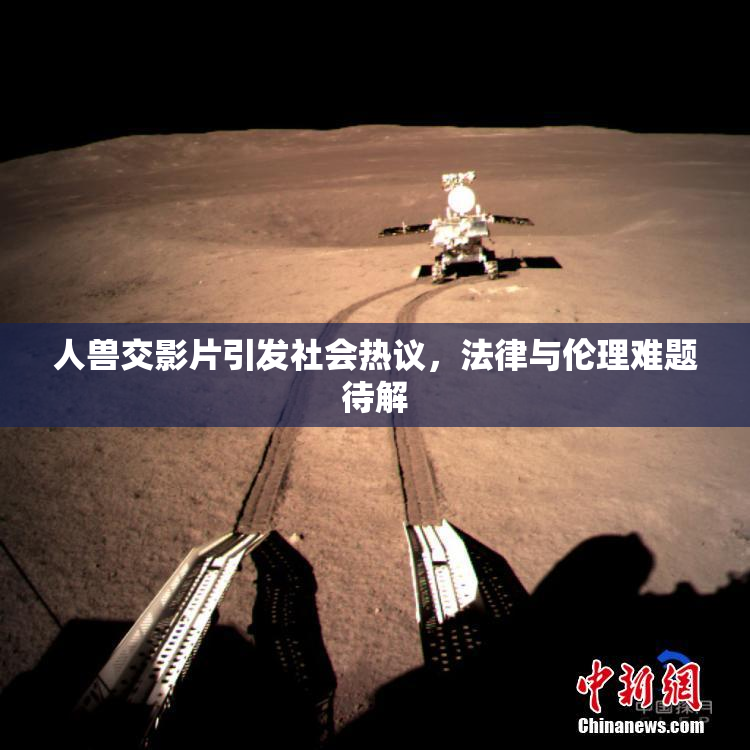 人兽交影片引发社会热议，法律与伦理难题待解
