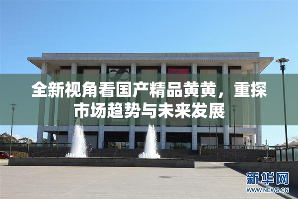 全新视角看国产精品黄黄，重探市场趋势与未来发展