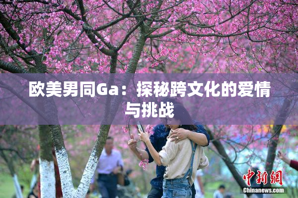 欧美男同Ga：探秘跨文化的爱情与挑战