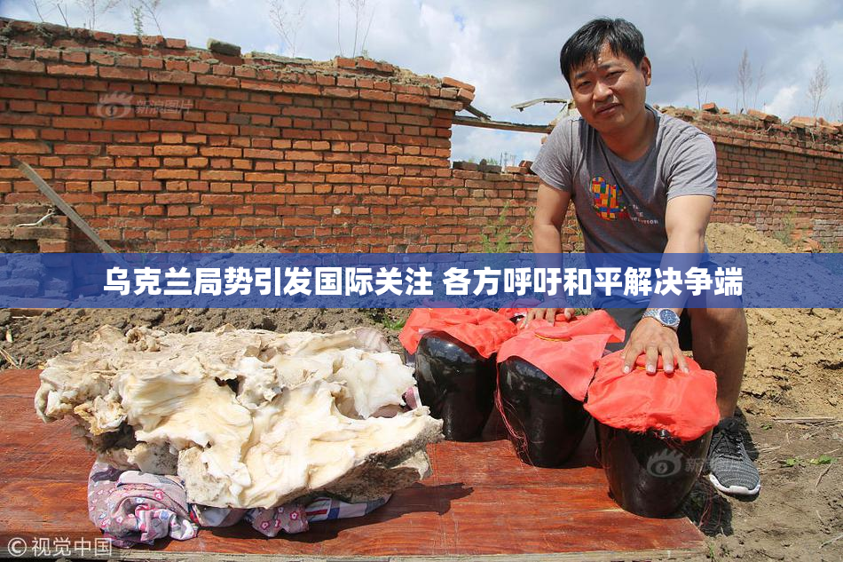 乌克兰局势引发国际关注 各方呼吁和平解决争端