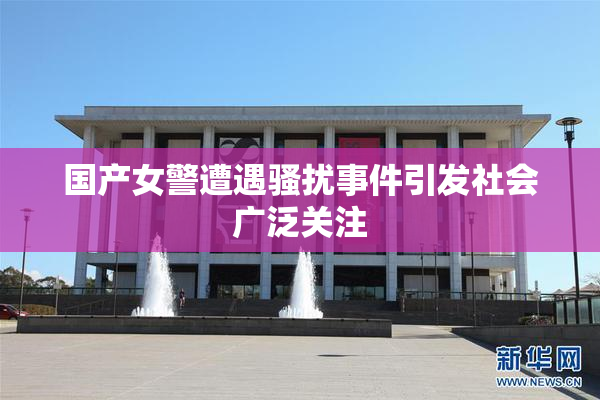 国产女警遭遇骚扰事件引发社会广泛关注