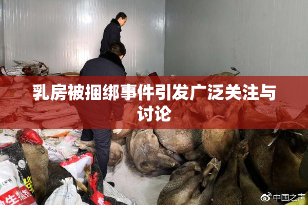 乳房被捆绑事件引发广泛关注与讨论