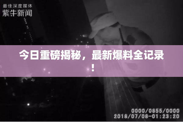 今日重磅揭秘，最新爆料全记录！