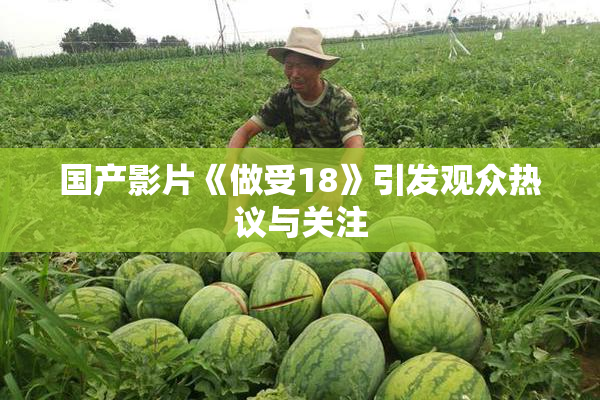 国产影片《做受18》引发观众热议与关注