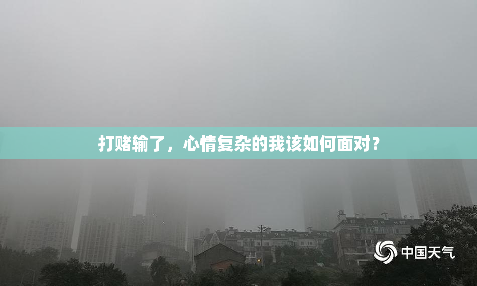 打赌输了，心情复杂的我该如何面对？