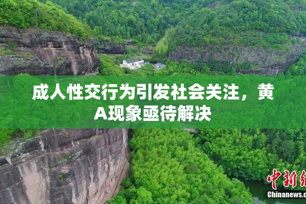 成人性交行为引发社会关注，黄A现象亟待解决
