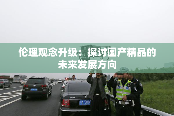 伦理观念升级：探讨国产精品的未来发展方向