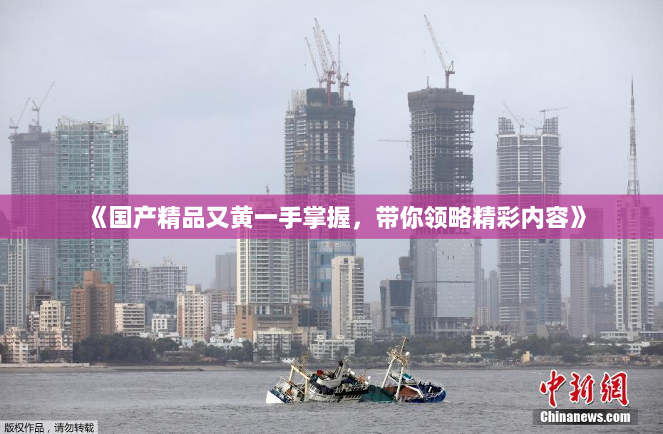 《国产精品又黄一手掌握，带你领略精彩内容》